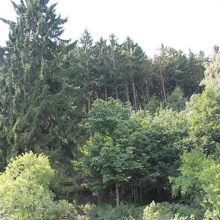 게스트하우스 Der Rabenhorst